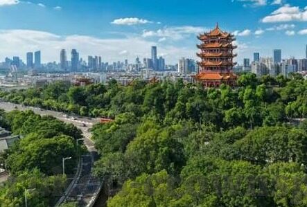 下载百家乐-下载百家乐，开启娱乐新体验