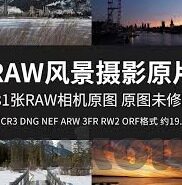 足球对比分-足球对比分，一场数字背后的艺术与博弈